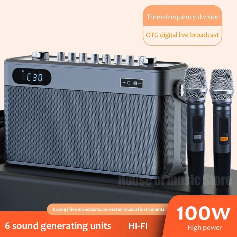 100 Вт высокомощные профессиональные домашние Hi-Fi караоке Беспроводные Bluetooth колонки портативный OTG цифровой живой динамик с 2 микрофонами