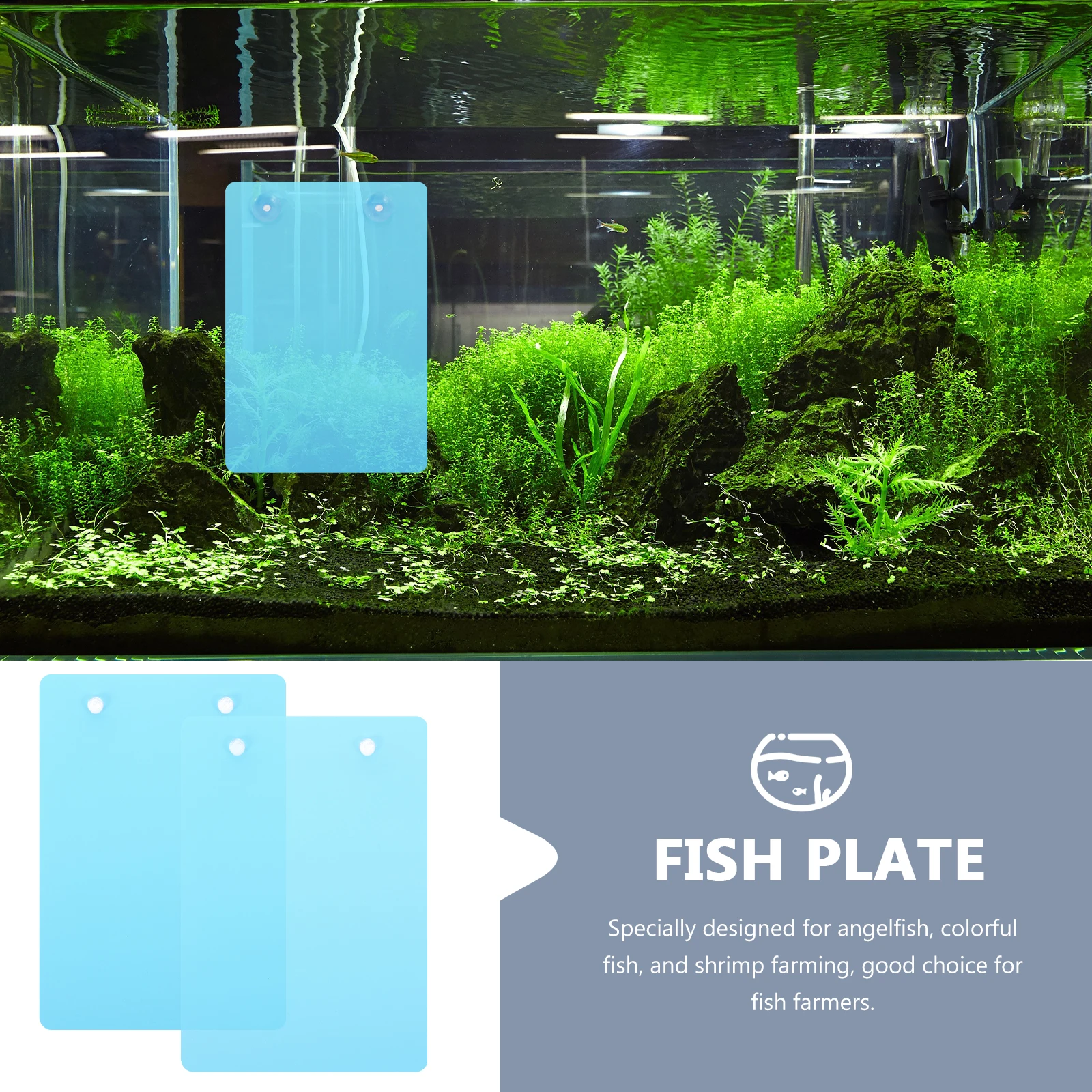 

2pcs Fish Breeding Lightweight Spawning Plate For Aquarium Suction Cup Design Reusable Breeding Box Fish Tank Supplies