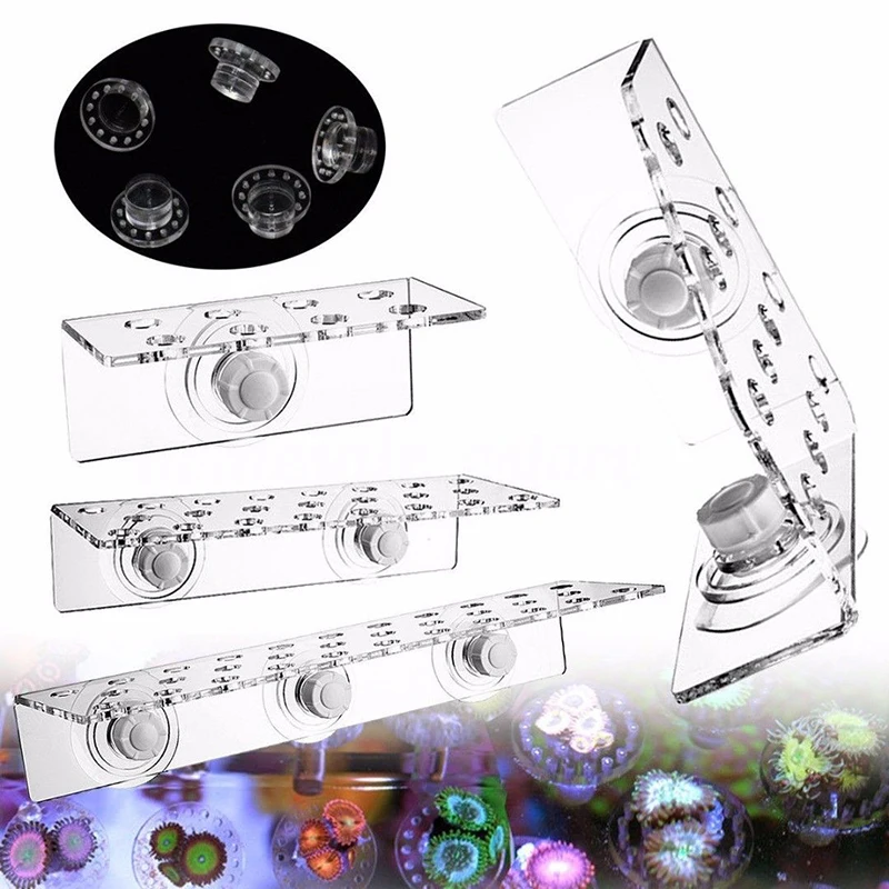 

Marine Sources Aquarium Clear Acrylic Coral Frag Plugs Rack Holder SPS Coral Support Seawater Fish Tank Accessories