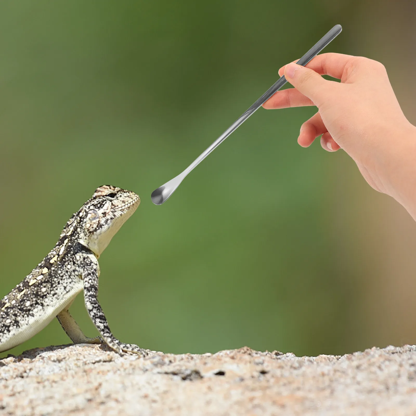 2Pcs Professional Stainless Steel Pet Food Scoop for Reptiles Lizards Small Animals Compact Portable Feeding Spoon Pet Supply