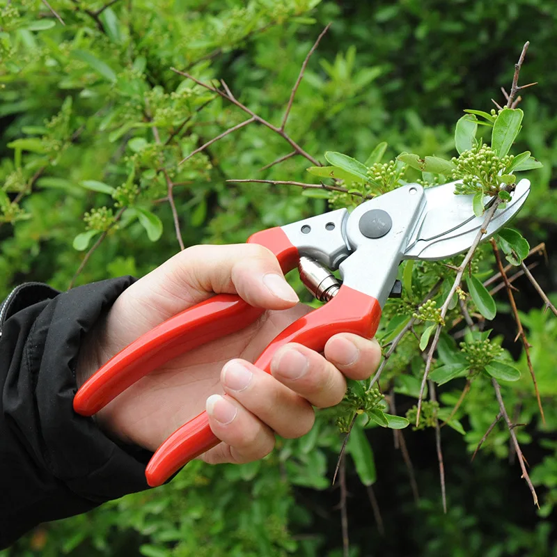 SK5 Gardening Pruning Shears Fruit Potted Plants Nursery Pruning Scissors Garden Hand Tools Professional Cuttter Shear Flowers