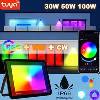 TUYA RGB Floodlight Smart APP WiFi Voice Control RGB 3000-6500K 30W 50W 100W AC220V for Garden Party Outdoor Lighting Spotlight