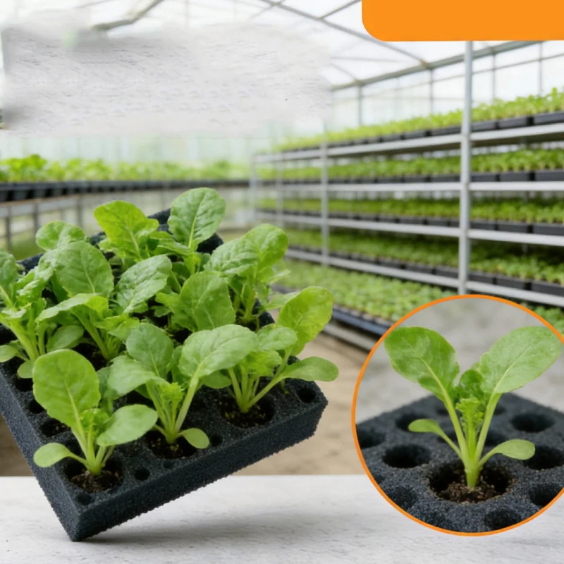 100Pcs/sheet Hydroponic plant Sponge Garden Cultivation Seedling Soilless Culture Planting tools Vegetables Nursery Pots trays