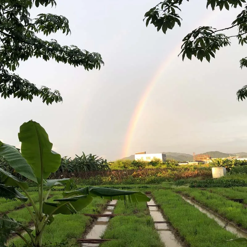 

Moc строительные кирпичи, технология произвольной формы, модульные блоки, случайные блоки, частицы модели, подарки, рождественские игрушки, наборы «сделай сам», сборка