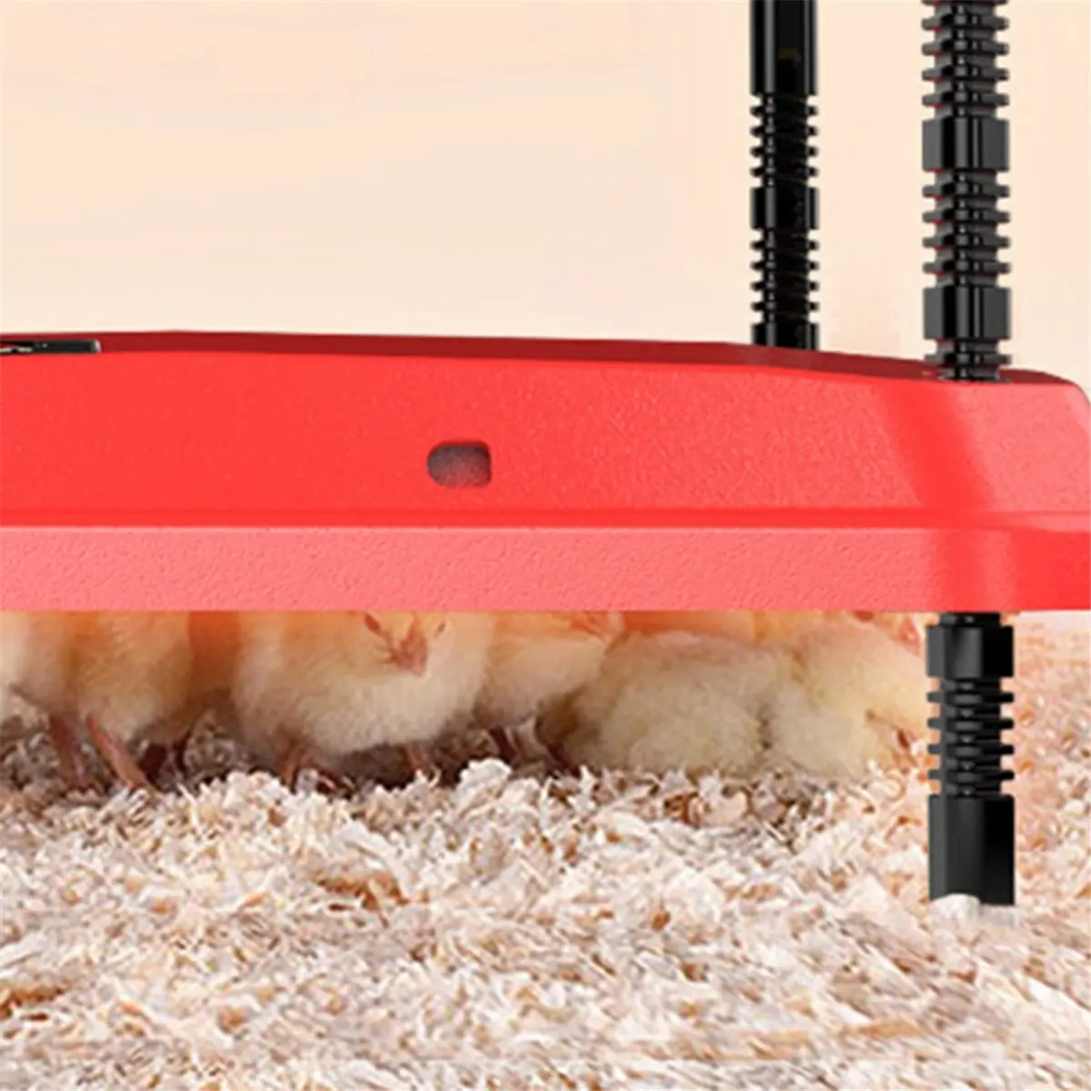 Super Sale Electric Chick Brooder Heating Plate Adjustable Height Chick Cage Heater Chicken Warmer US Plug