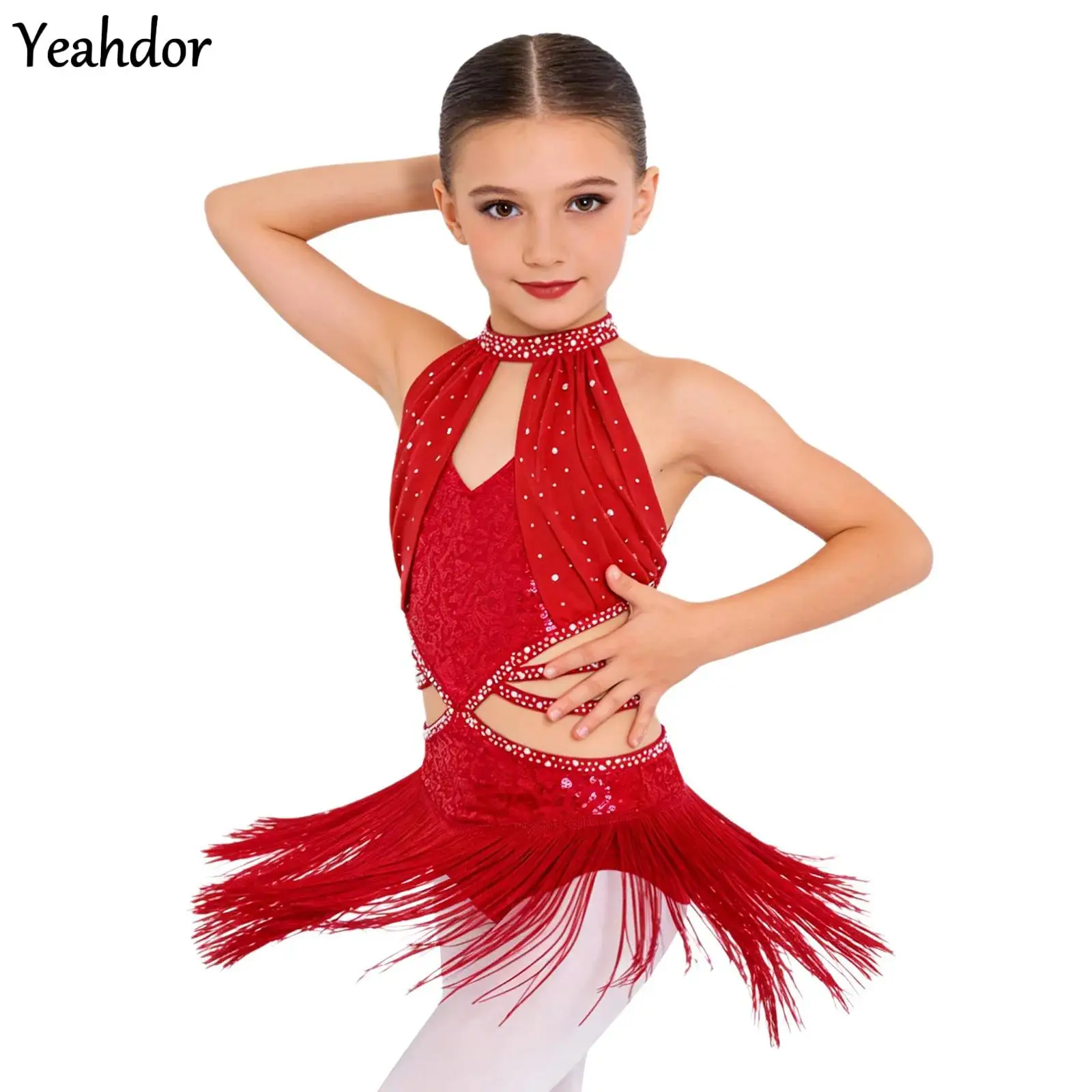 

Kids Girls Tassels Latin Dance Dress Ruched Mesh Overlay Bodice Glittery Rhinestone Sequin Ballet Leotard Performance Costume