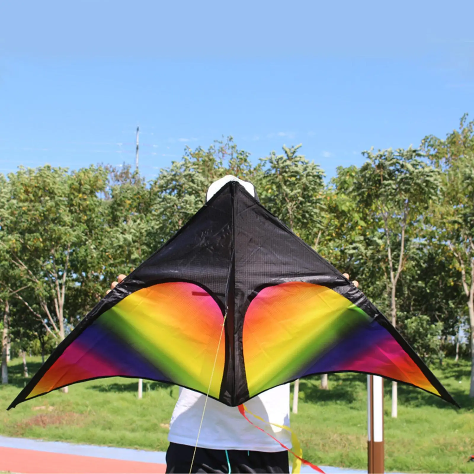 Rainbow Delta Kite Fly Kite Easy to Fly Giant for Toy Outdoor Family Trips