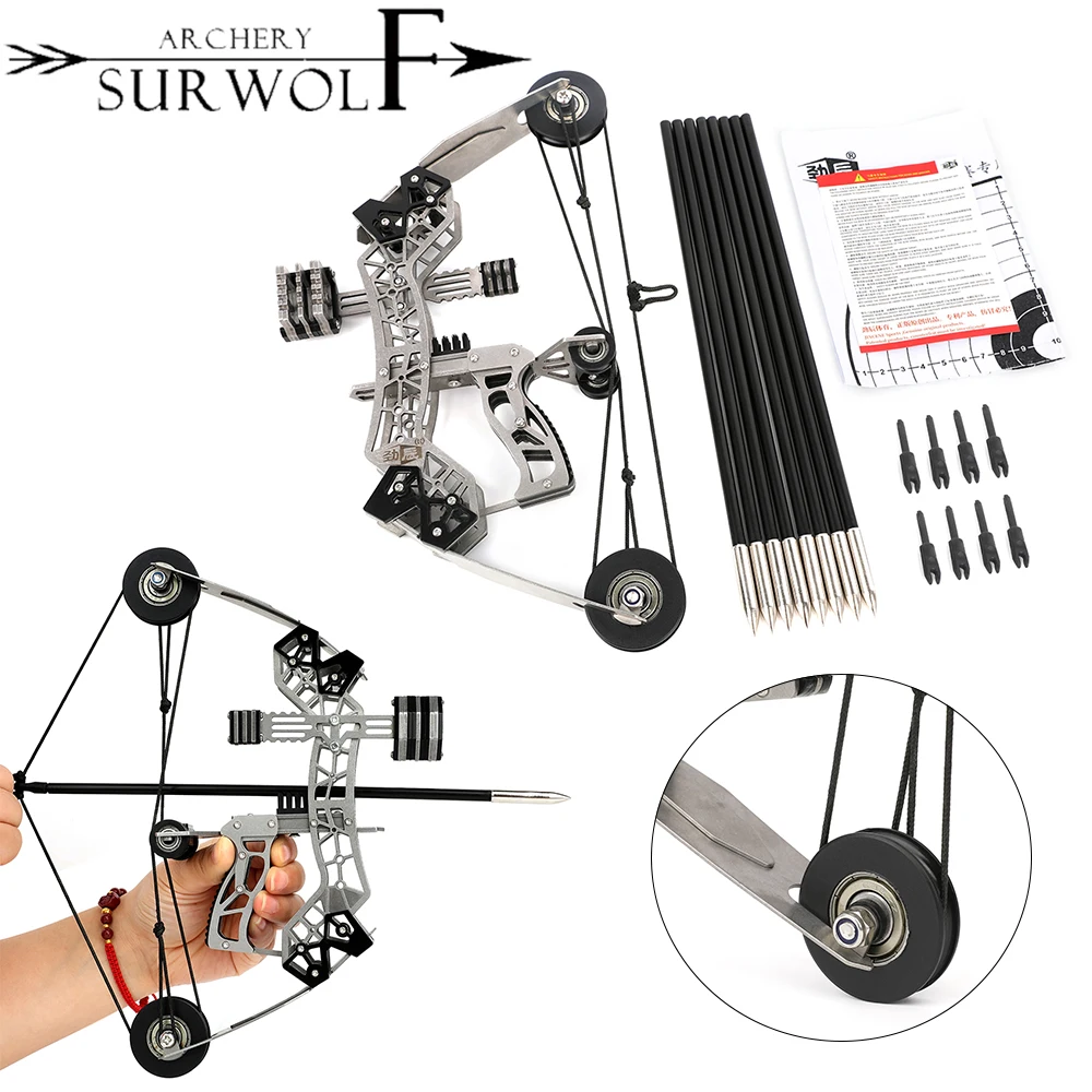 

1 Set Mini-Compound Bow Stainless Steel+Black Carbon 12Ibs Shoot Range About 40-50m for Outdoor Hunting Shooting Enthusiasts
