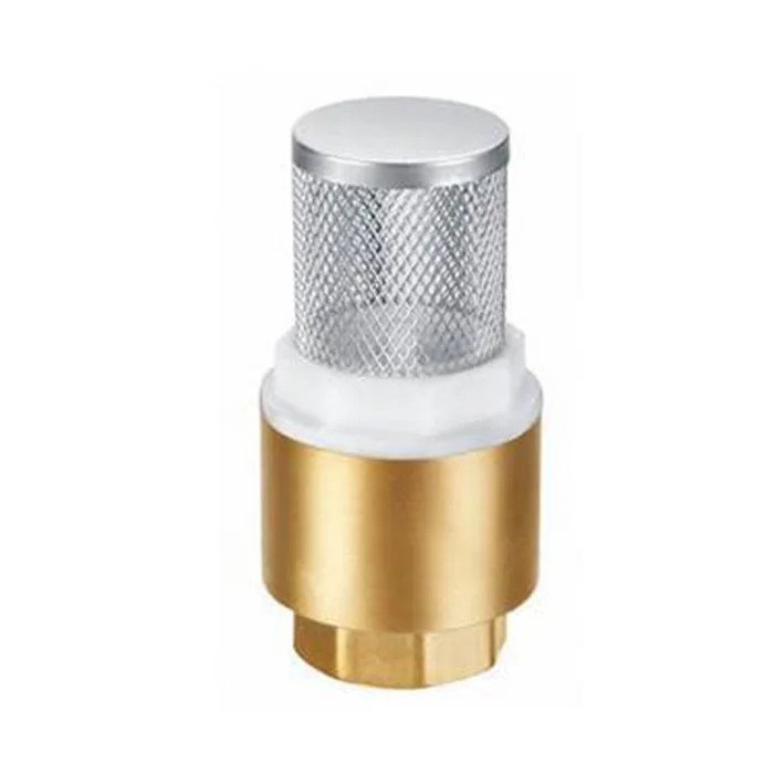 Brass 304 Stainless Steel Mesh Bottom Valve Suction Valve Pump Vertical Type with Net Check Valve DN15 DN25 DN50 DN65