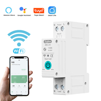 Tuya ZigBee Intelligent Circuit Breaker 63A Remote Control Voice Control Switch Home Wireless Phone APP Connect Circuit Breaker