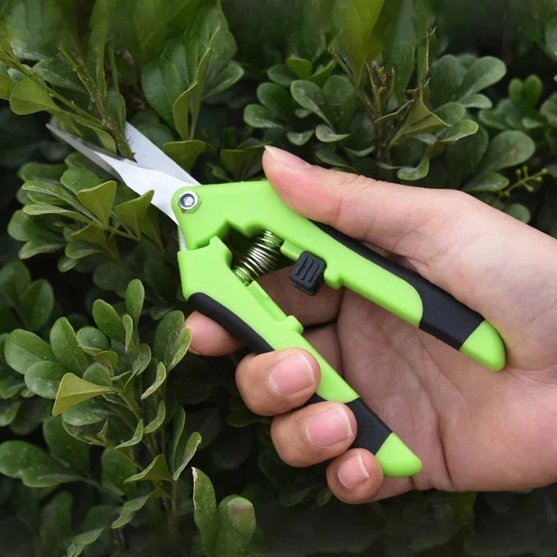 Garden Pruning Shears Stainless Steel Plants Fruit Grape Picking Scissors Horticulture Leaf Trimmer Straight Elbow Pruning Tools