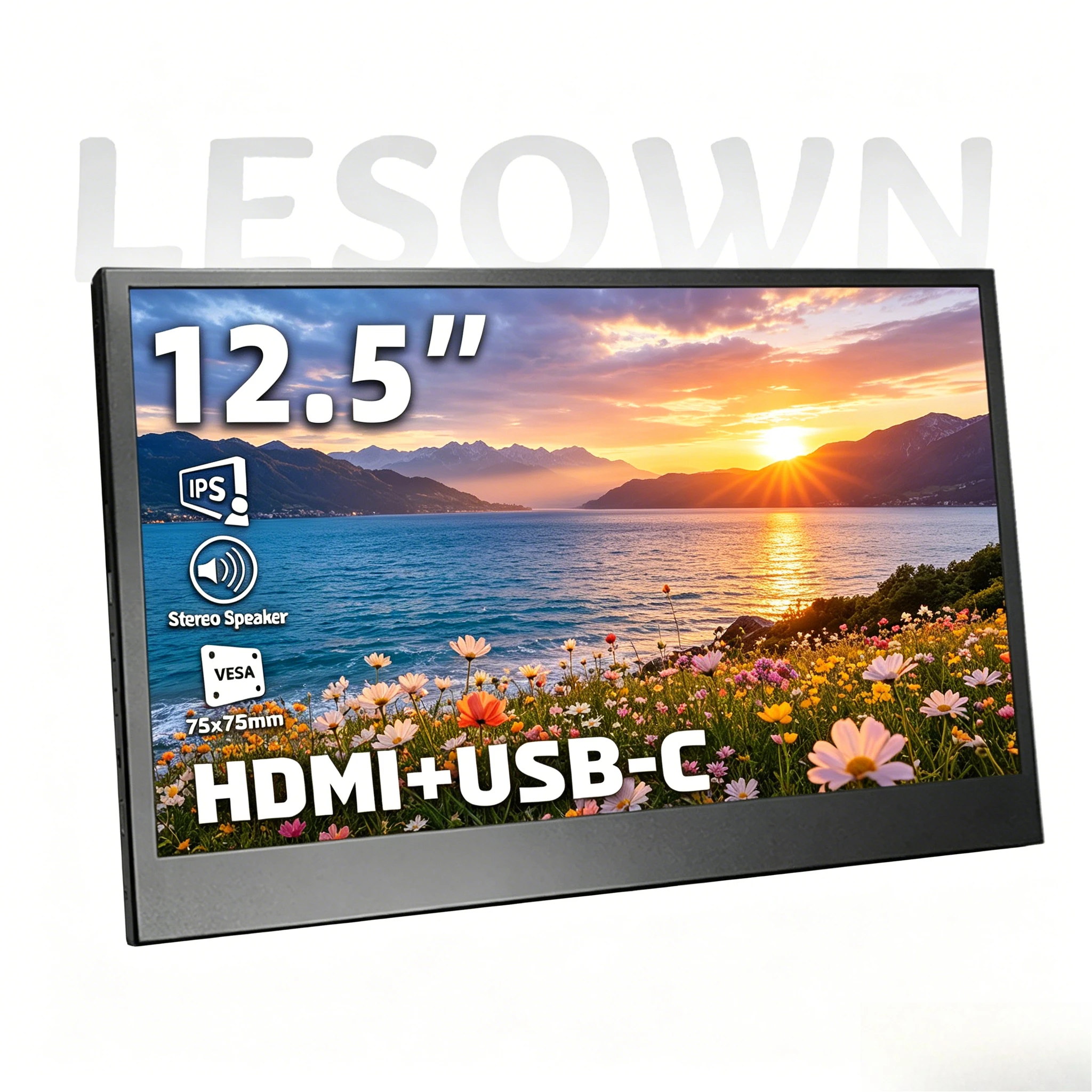 

LESOWN 12.5 Inch FHD Portable Raspberry Pi 4 5 Display 1080P IPS Monitor with Built-in Speaker miniHDTV Type-C for Linux SBC