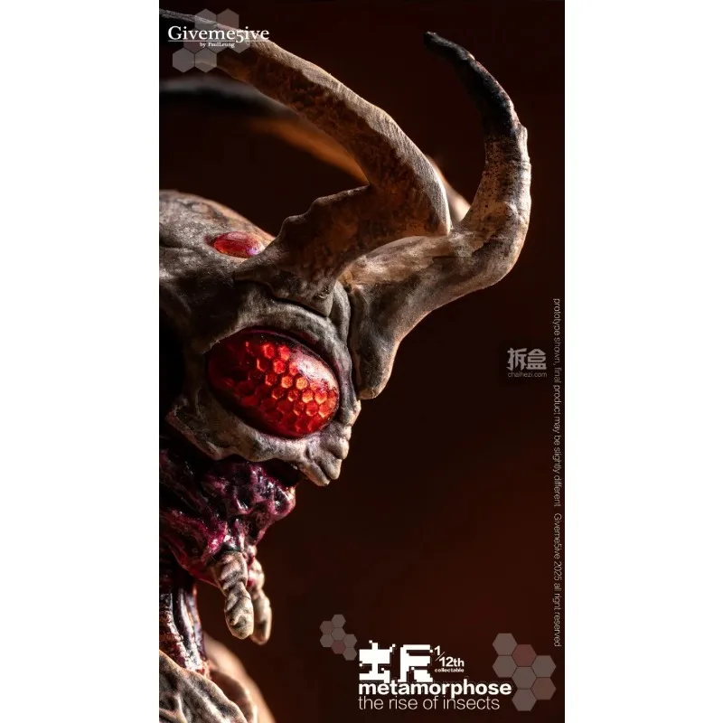 

GIVEME5IVE Genuine Metamorphosis Kamen Rider Doujin AIROKI Ins 01 Insect Opening Special Camera Crazy Action Figures Model Toys