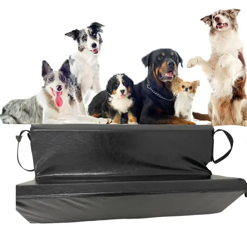Small size Animal Xray machine tools Veterinary Hospital Pet Use Radiographic Positioning Aid X-ray Positioner X-ray Mat