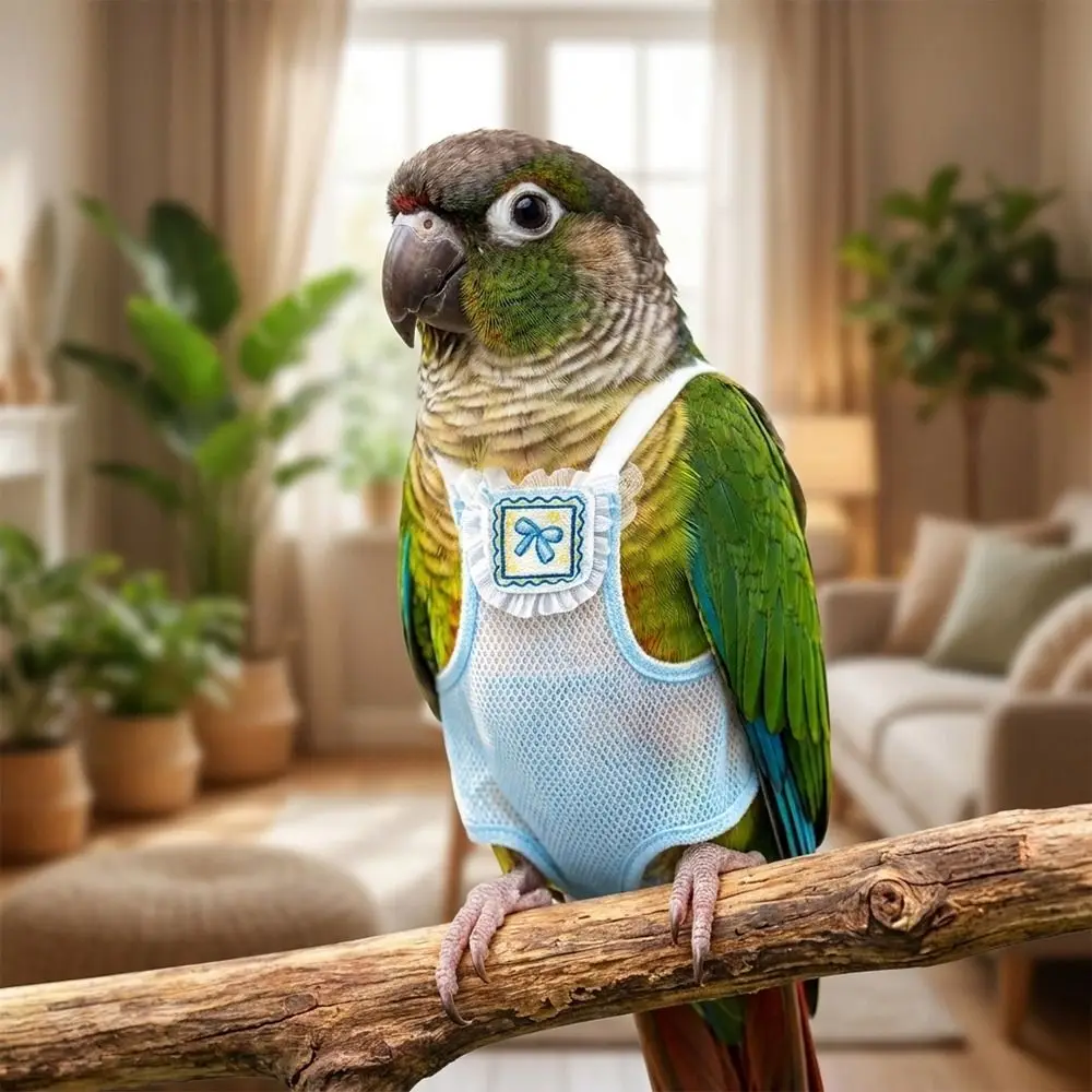 Adorable Breathable Mesh Pet Parrot Diaper Snap-Closure Cartoon Pattern Parrot Nappy Adjustable Bird Flight Suits Birds Supplies