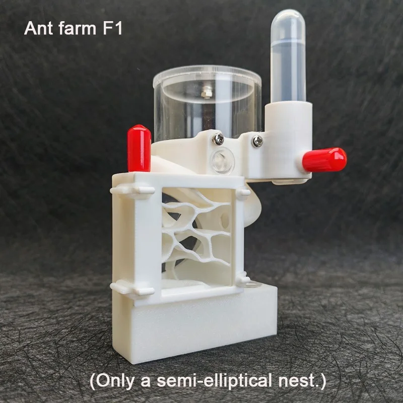 3D Print Three-dimensional Ant Farm with External Water Feeder Bionic Ants Nest Pet Anthill Ant House Insect Box Children's toys