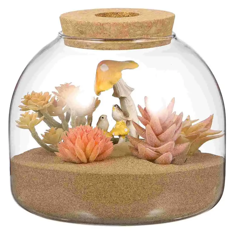 Cork Glass Bottle Plant Terrarium Large Landscape Flower Pots Ecosystem Small Container Bracket Cookie Jar Office