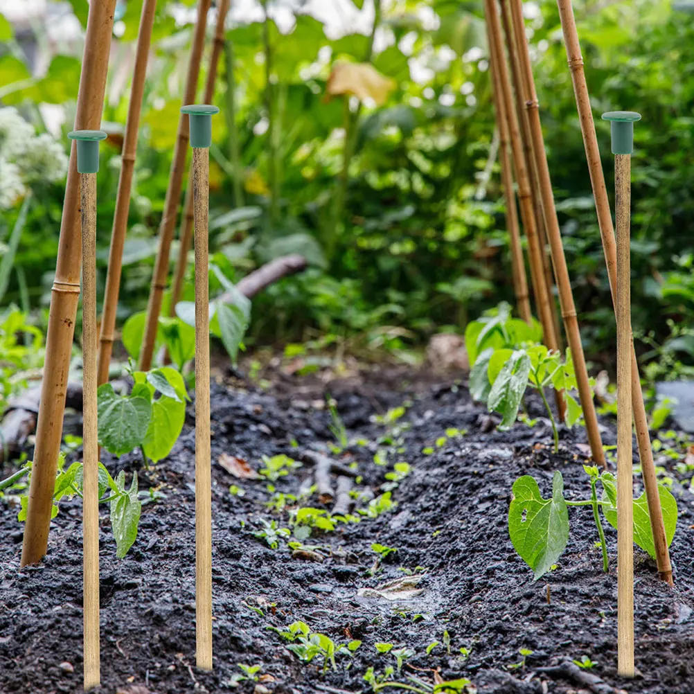 

48 Pcs Cane Plant Support Stick Safety End Cap Protective Caps for Tip Garden Bamboo Covers