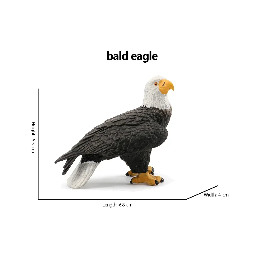 Bald Eagle pelican Tucan Turkey Stork Owl Bird Animal Figurines Model Toy Creative Decor Kids Gifts Realistic Design Miniatures