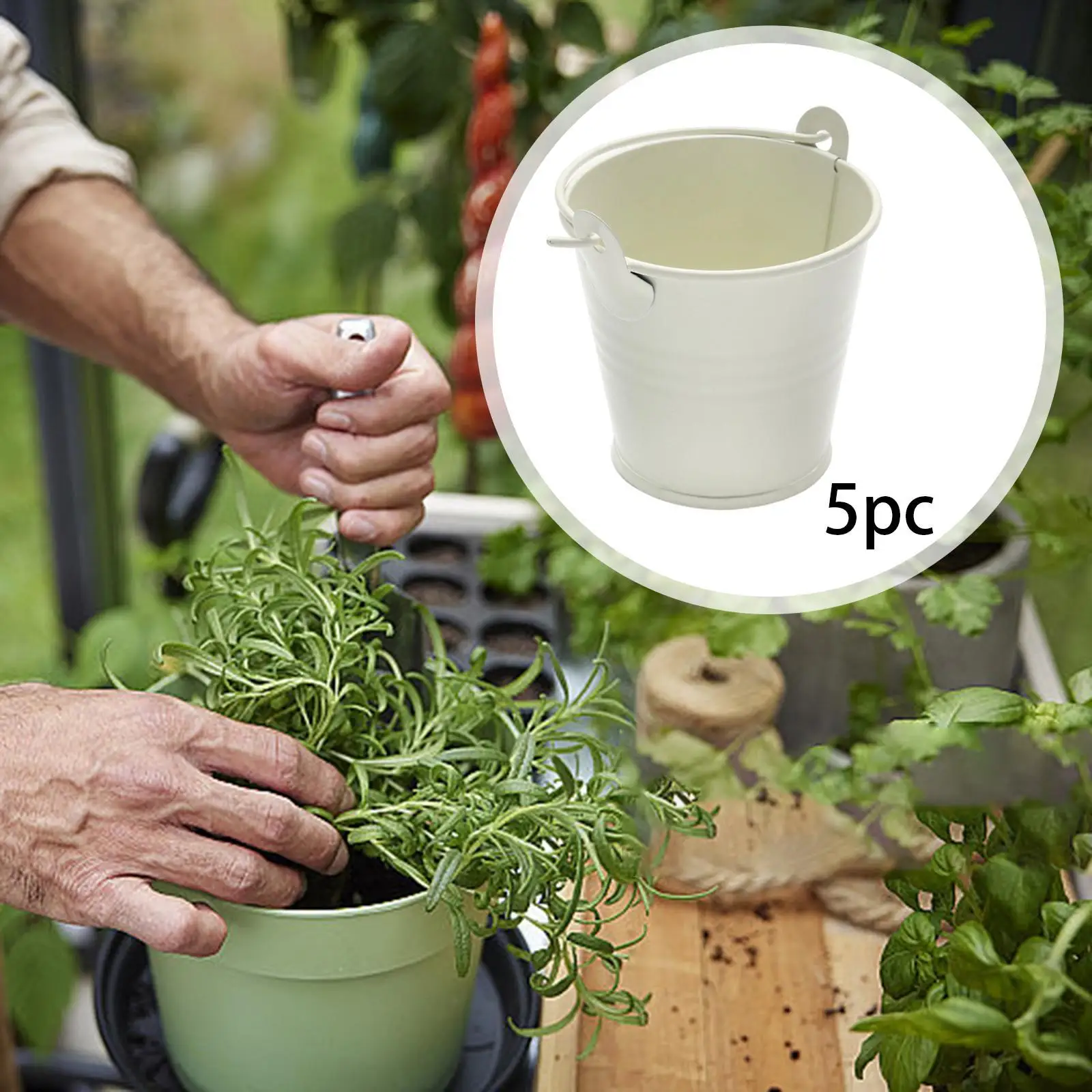 Mini Metal Buckets Portable Tin Pail Vintage Style Storage Container with Handle for Candy Crafts Gifts