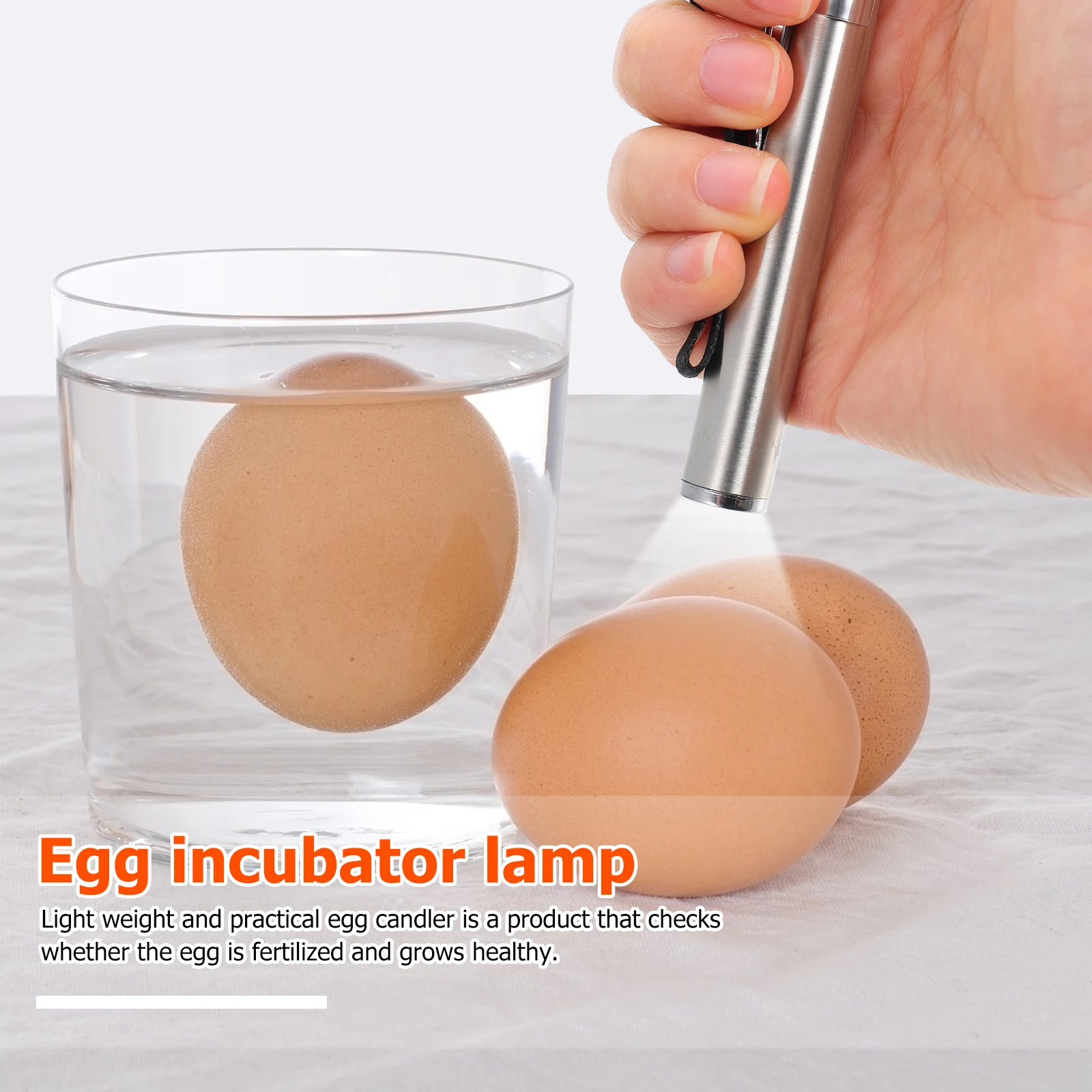 

Led Candler Silver Small Flashlight Durable Tester Light For Incubation Chick Egg Candling Lamp Stainless Steel Material