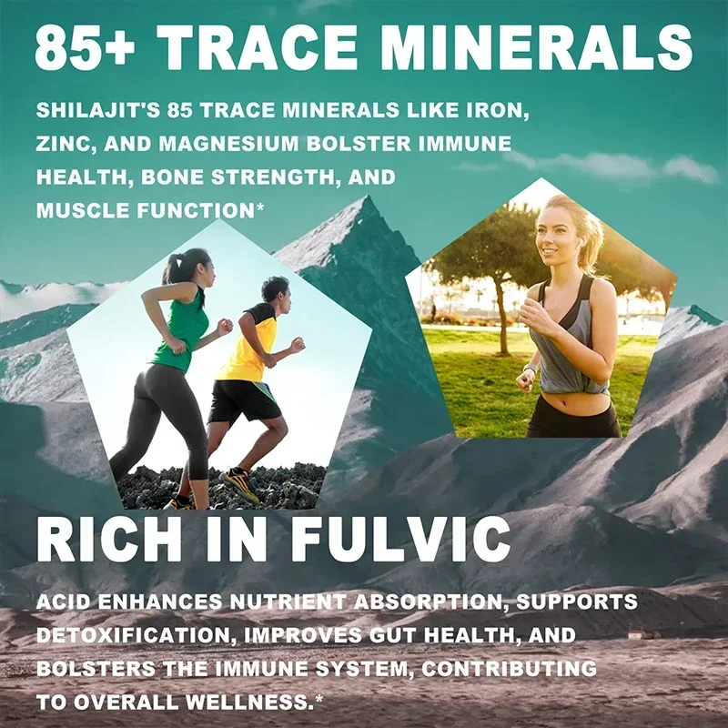 Shilajit - High Potency for Energy Boost & Immune Support, Focus Healthy CareSupplements