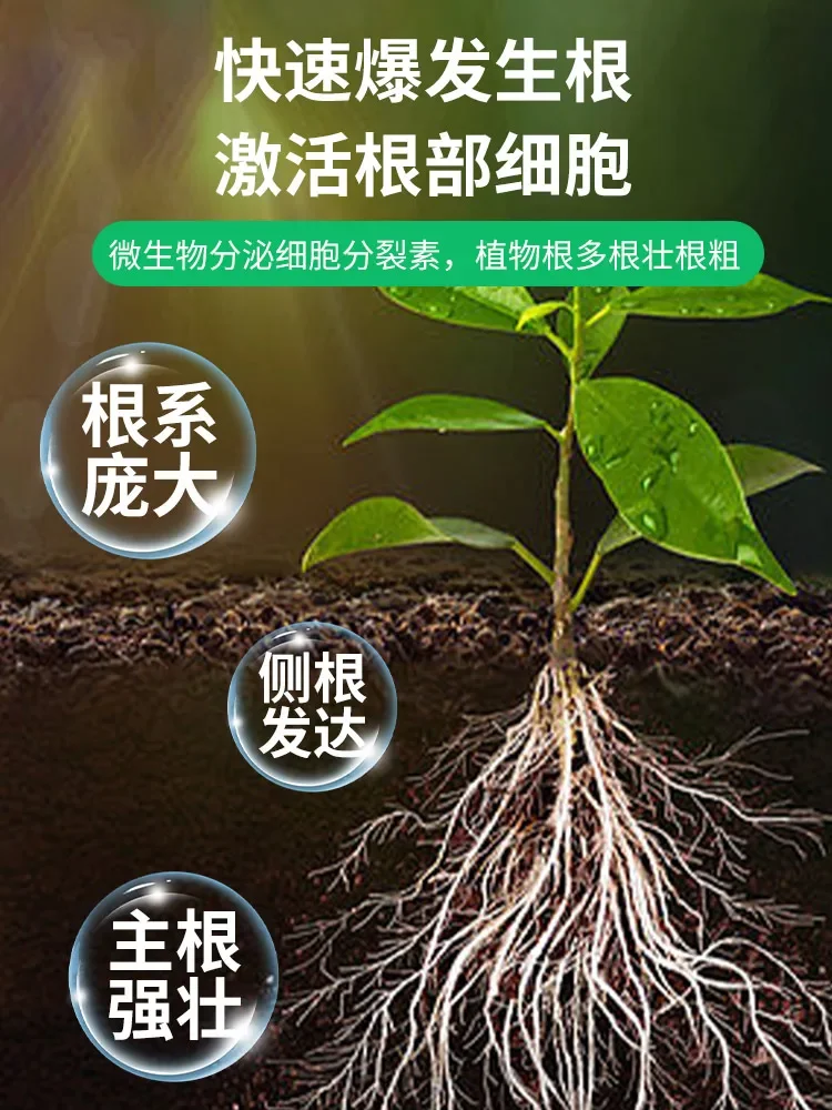 Rooting Powder Plant General Cutting Use Fruit Tree Wood Flower Rooting Agent Potion Strong Seedling