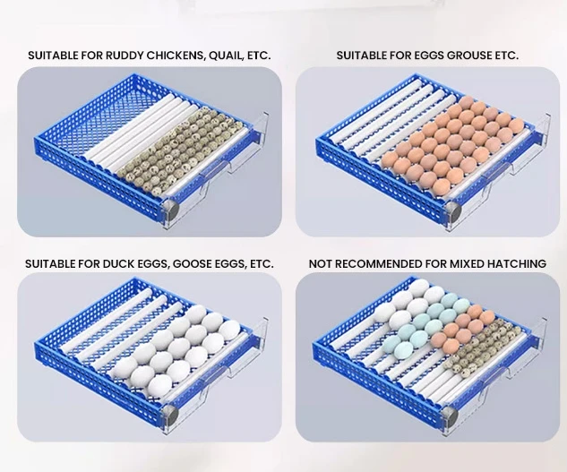 340 Eggs Capacity Automatic Incubator Dual Power Supply Automatic Egg Turning Quail Pigeon Chickens and Ducks