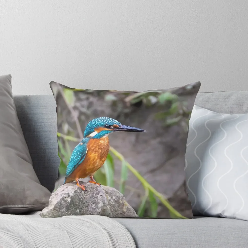 Kingfisher is king of the castle Throw Pillow Sofa Pillow Cover Pillowcases For Pillows Decorative pillow case