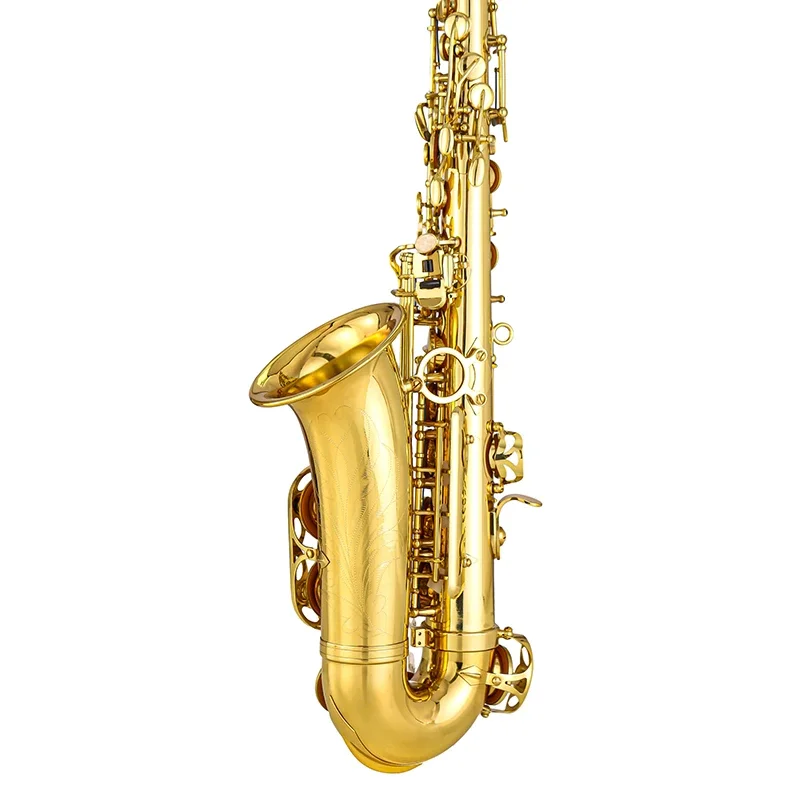 Alto Saxophone AS-85 Daily Practice With Gold Lacquer Brass Body Tone EB