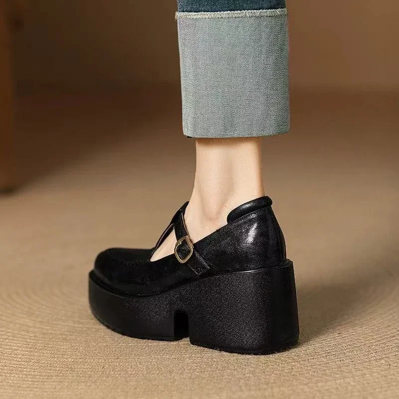 Chunky Platform High Heels Pumps Women Spring PU Leather Ankle Buckle Mary Jane Shoes Woman Brown Thick Heeled Sandals Loafers