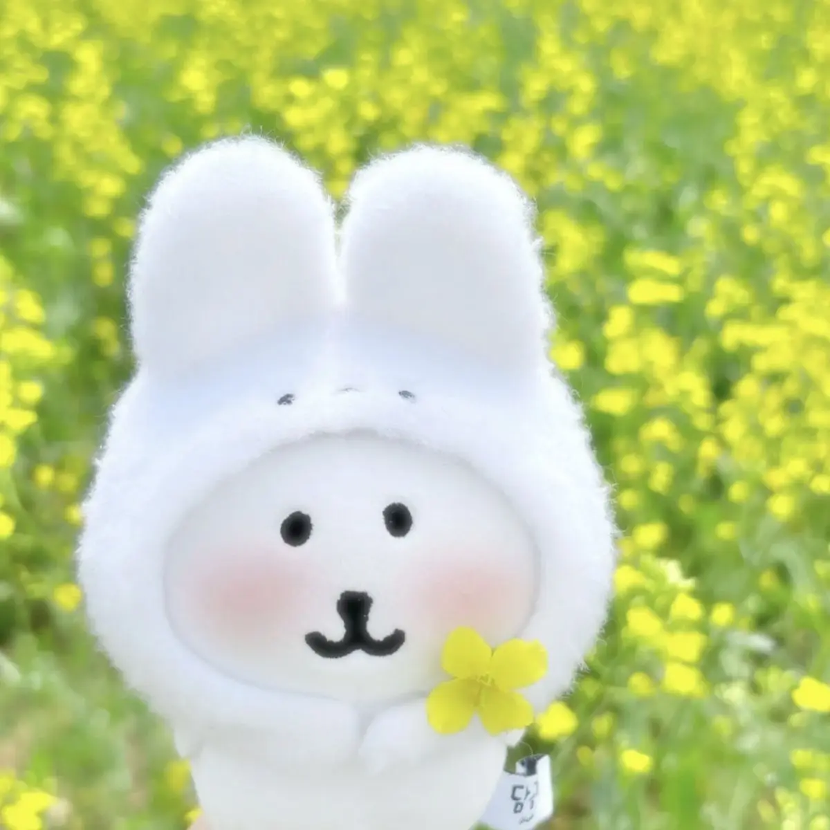 غطاء رأس قلادة الحقيبة الأكثر مبيعًا الجديد لطيف ورائع يتميز بتزيين سلسلة مفاتيح شخصية كرتونية قطيفة #4