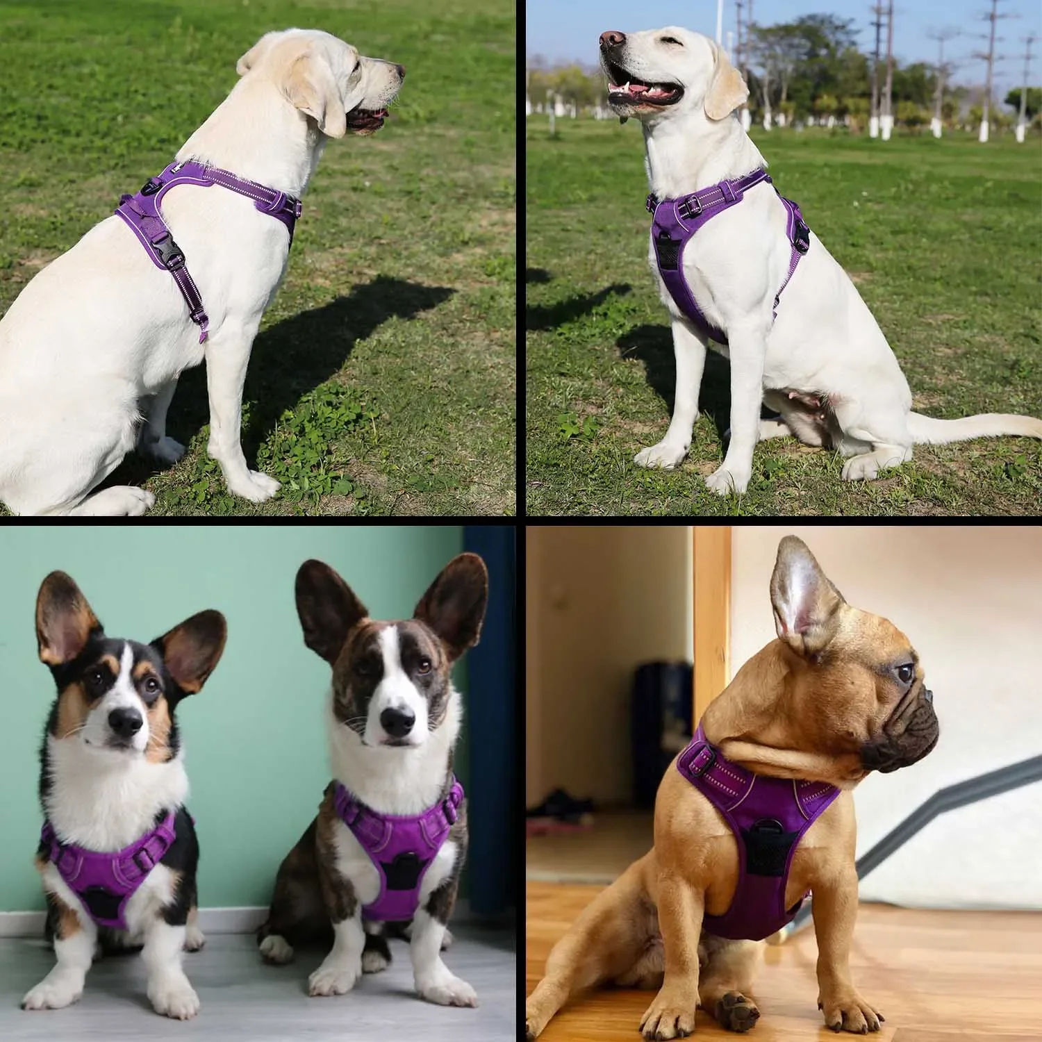 No Pull Dog Harness Adjustable Safety Nylon Large Pet Dog Vest Padded Reflective Outdoor for Dogs Pet Leash Control Cat collar