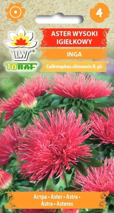 IGE ASTER INGA ZAAD VAN TORAF-BLOEMEN 425