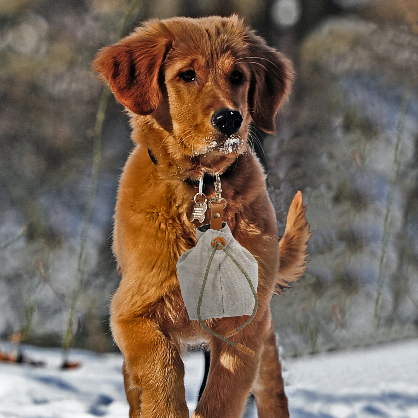 

Treat Pouch Lightweight Canvas Portable Bag Large Capacity Buckle Pet Food Storage Outdoor Dog Snack Pouch Puppy Training Bag