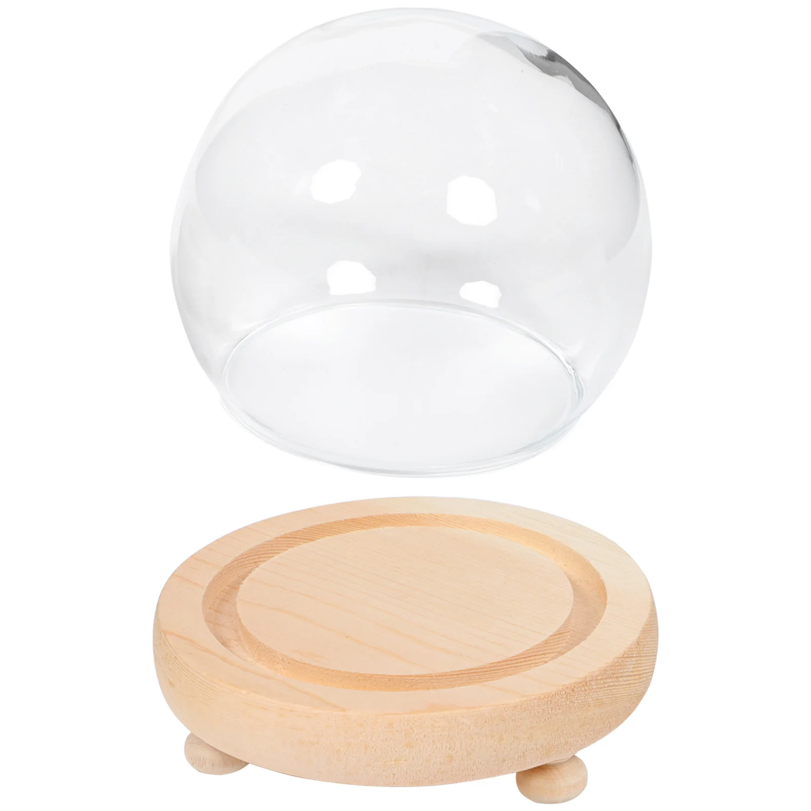 Spherical Glass Cover Lamp Shade Dustproof Preserved Flower Dust-proof Dome Wooden Clear Eternal