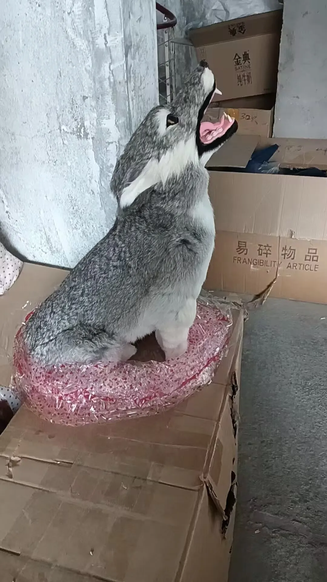 Big Real Life Natural Color gray wolf Model Plastic & Furs Simulation Sitting wolf about 47cm Animal Figurine