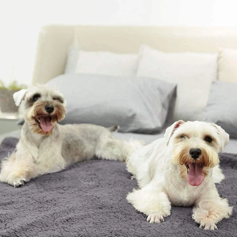 Pet Blanket Shu Cotton Velvet Dog Cat Blanket Mat Pet Supplies - view 4