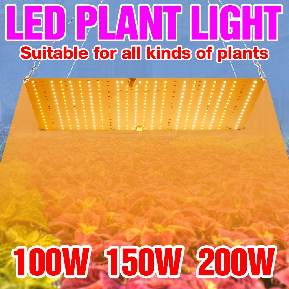 

200W Full Spectrum Grow Light LED Quantum Board Plant Seedling Cultivation Lamp Indoor Vegetables Flower Fruits Fill Lighting