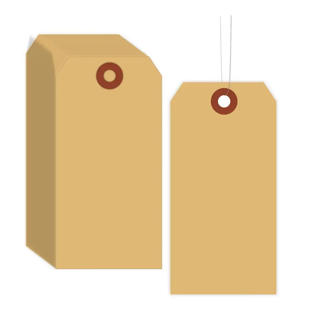 Shipping Label Tags Wine Bottle Tags 100pcs Blank Shipping Tags with Wire Hang Multi-purpose Inventory Labels Food for Labeling