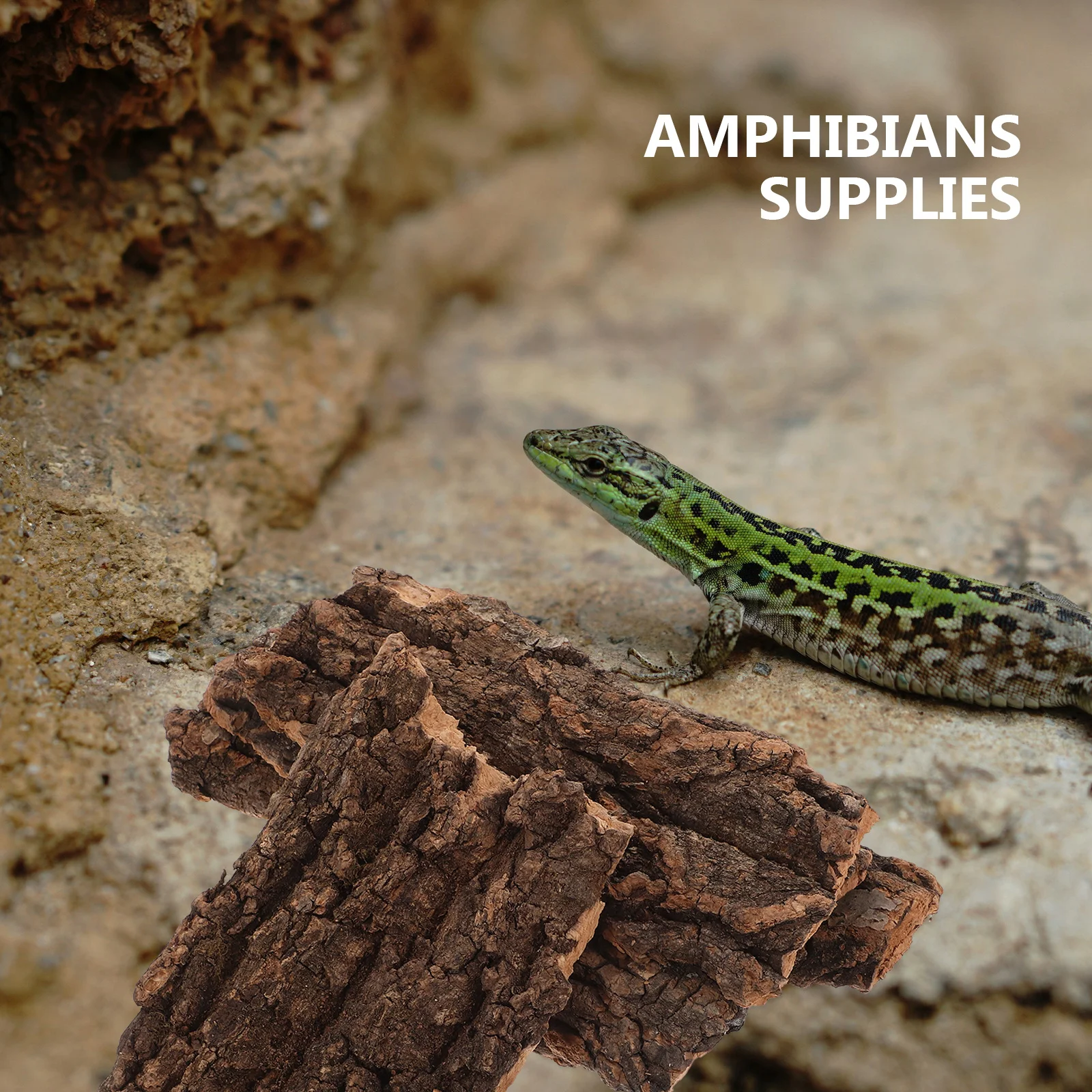 

4Pcs Reptile Climb Bark Natural Terrarium Decor Reptile Cage Landscaping Ornament Lizard Hide Hut Pet Breeding Box Accessory