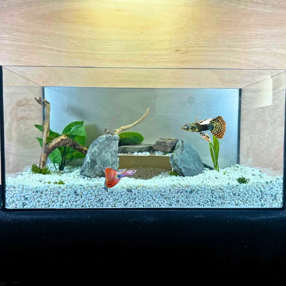 

Round Corner Aquarium Cave: Versatile Shelter for Terrarium & Aquarium Pets. Cozy Hideout for Reptiles, Perfect resting place