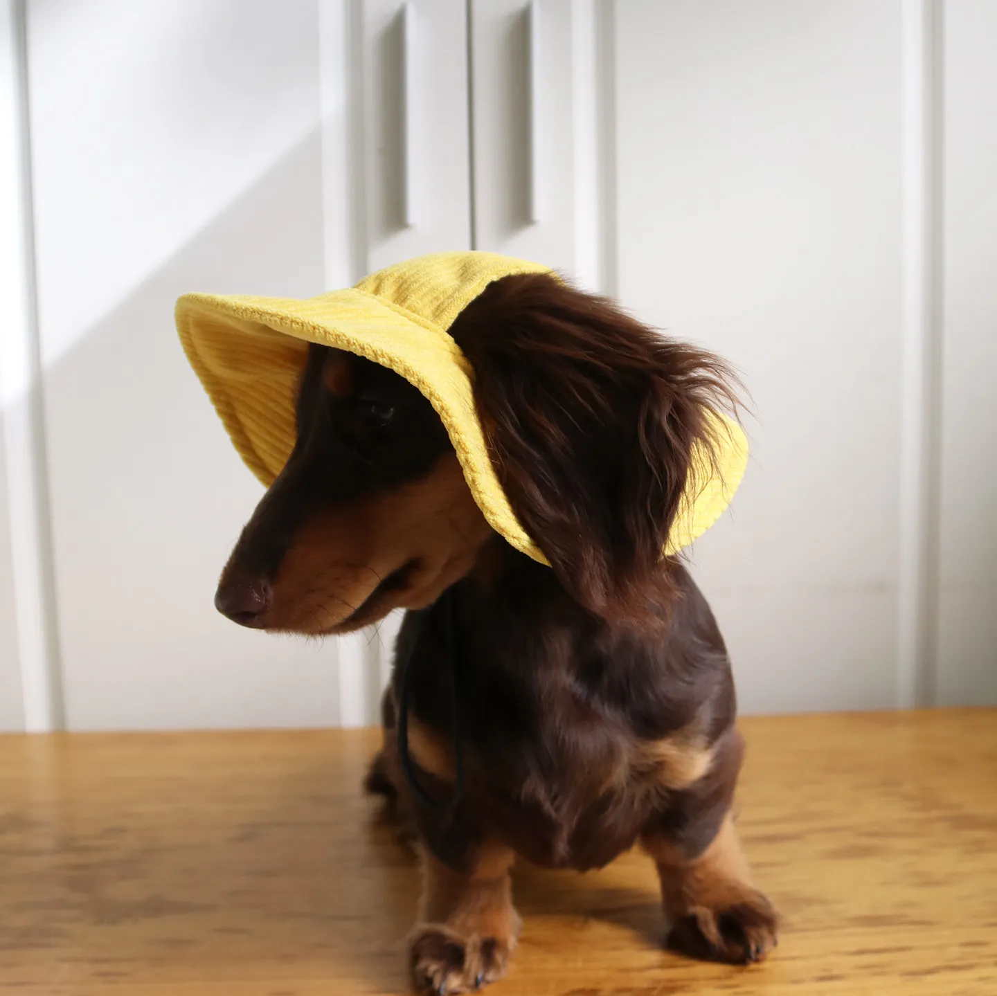 Sombrero solar para perros con orificios para las orejas, ajustable y transpirable - imagen 2