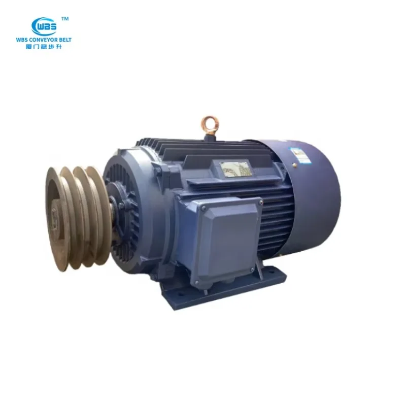 

Gear Dc Motors For Conveyor Belts Reducer Used In Coal Mines Metallurgical Washing Plants Power Plants