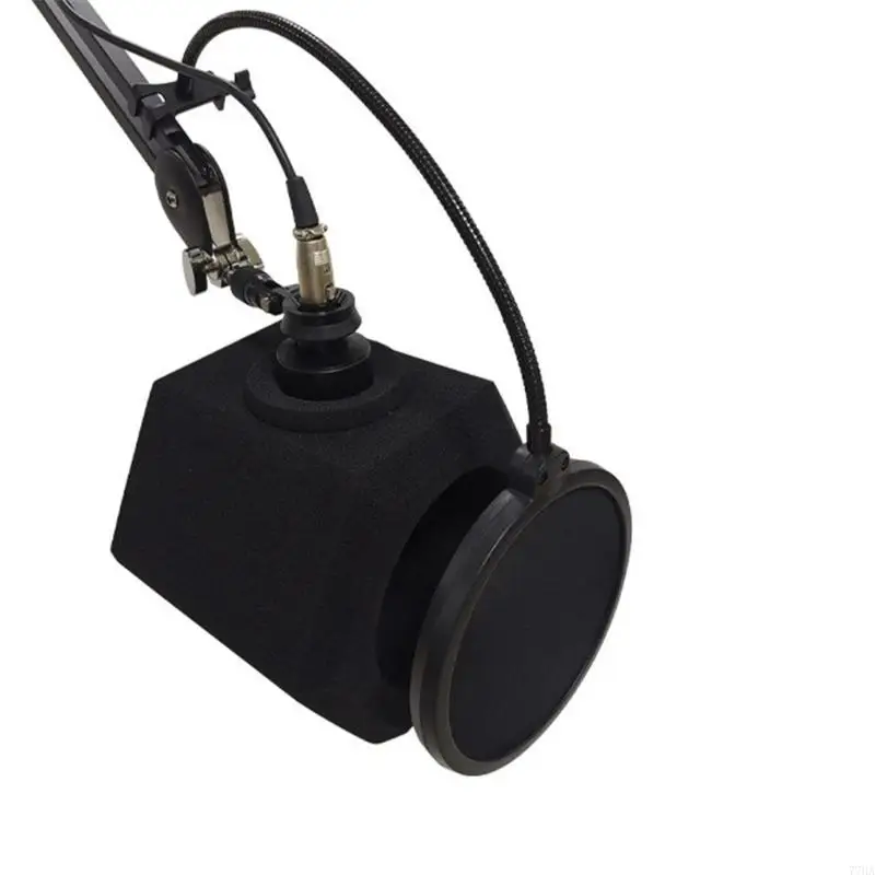 Профессиональная студийная студия.