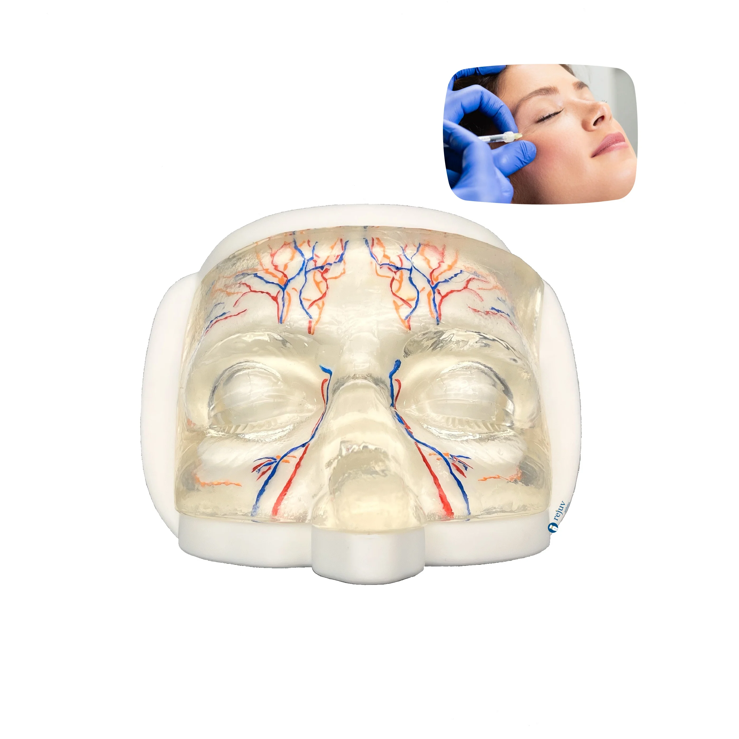 

Прозрачная верхняя модель инъекций лица с имитацией кровеносных сосудов для практики дермального наполнителя