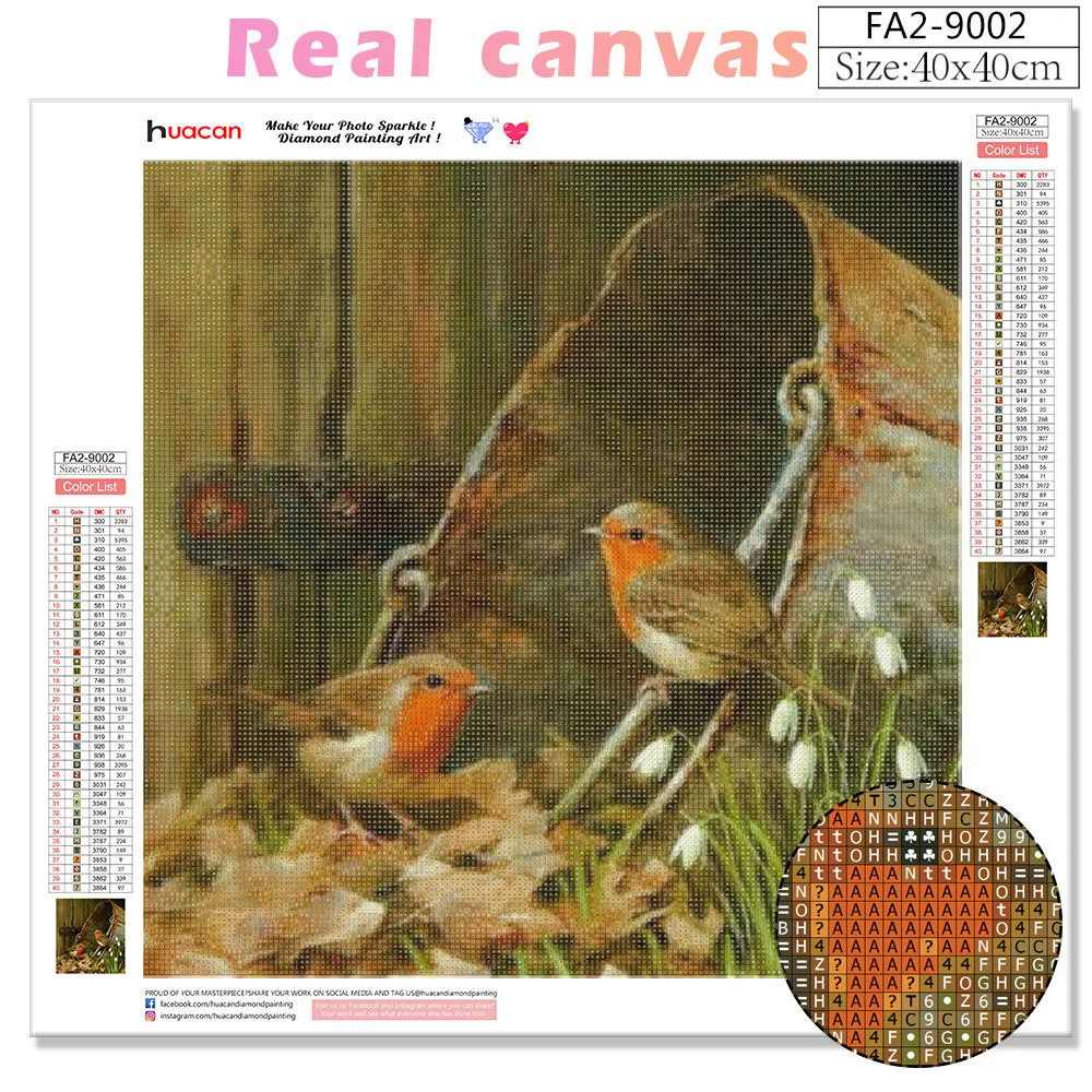 HUACAN Diamond Painting Full Square/Round Bird Diamond ricamo mosaico vendita Animal Decor per Home Wall Art