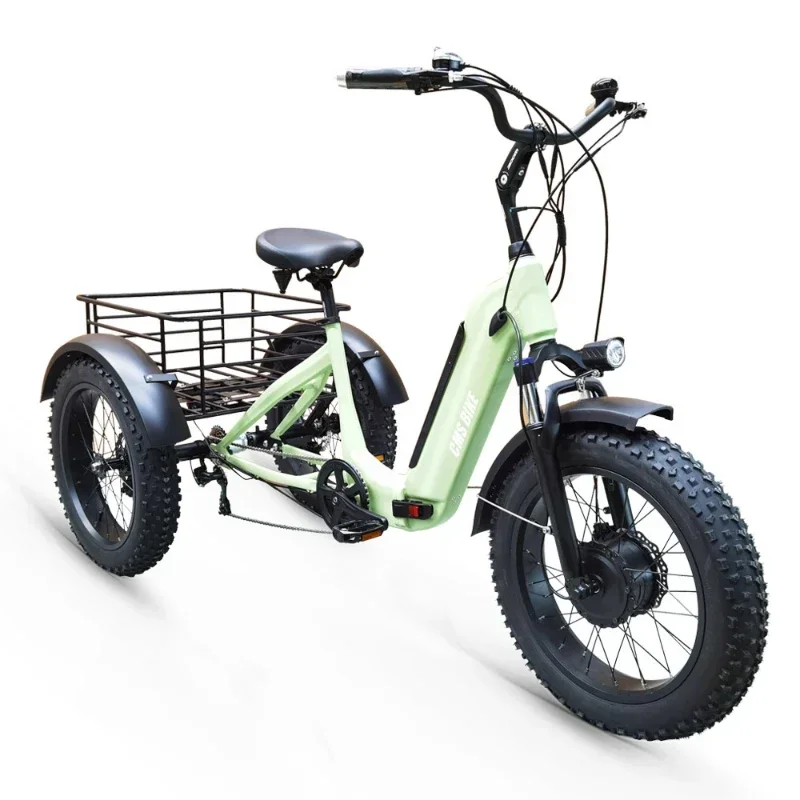 Electric Tricycle Aluminum Alloy Folding 3 Wheeled Electric Bicycle 20-inch Snow Adult Variable Speed Power Pedal Electric Trike