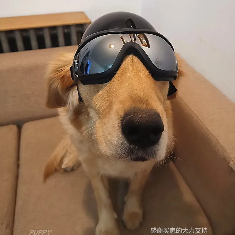 New Four Seasons Super Cool Dog Bike Motorcycle Helmet With Sunglasses Safety Cat Hat Travel Head Protection Pet Accessories