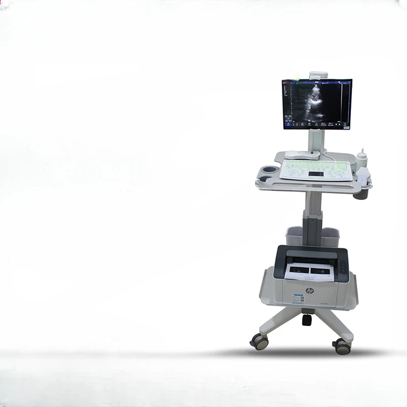 Portable handheld three in one color ultrasound is easy to move and carry for outpatient and rural inspections